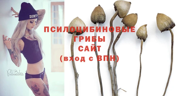 mdpv Покров