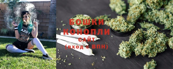 spice Покачи