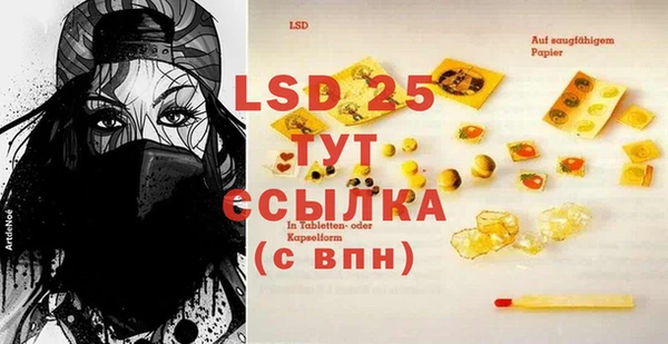spice Покачи