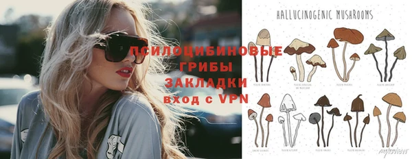 spice Покачи