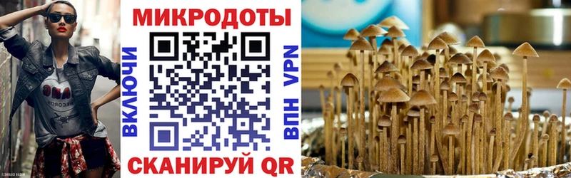 Галлюциногенные грибы мицелий  Купить  Тимашёвск 